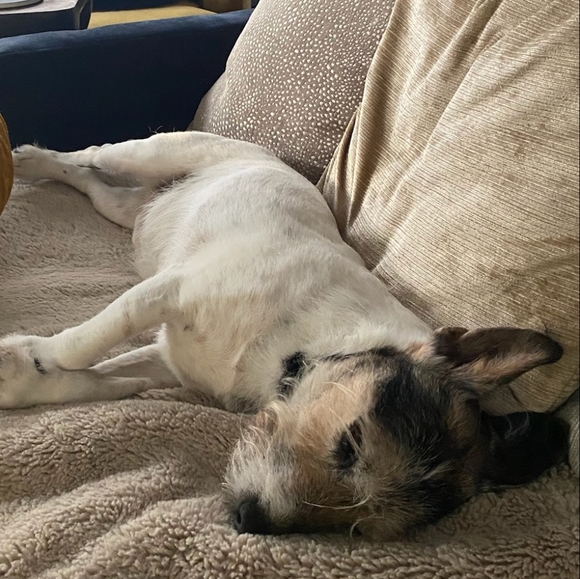 About me - Picture 4 of 5